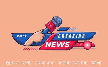 शासन संत्रा उत्पादक शेतकऱ्यांच्या व्यथा समजून घेणार का ?