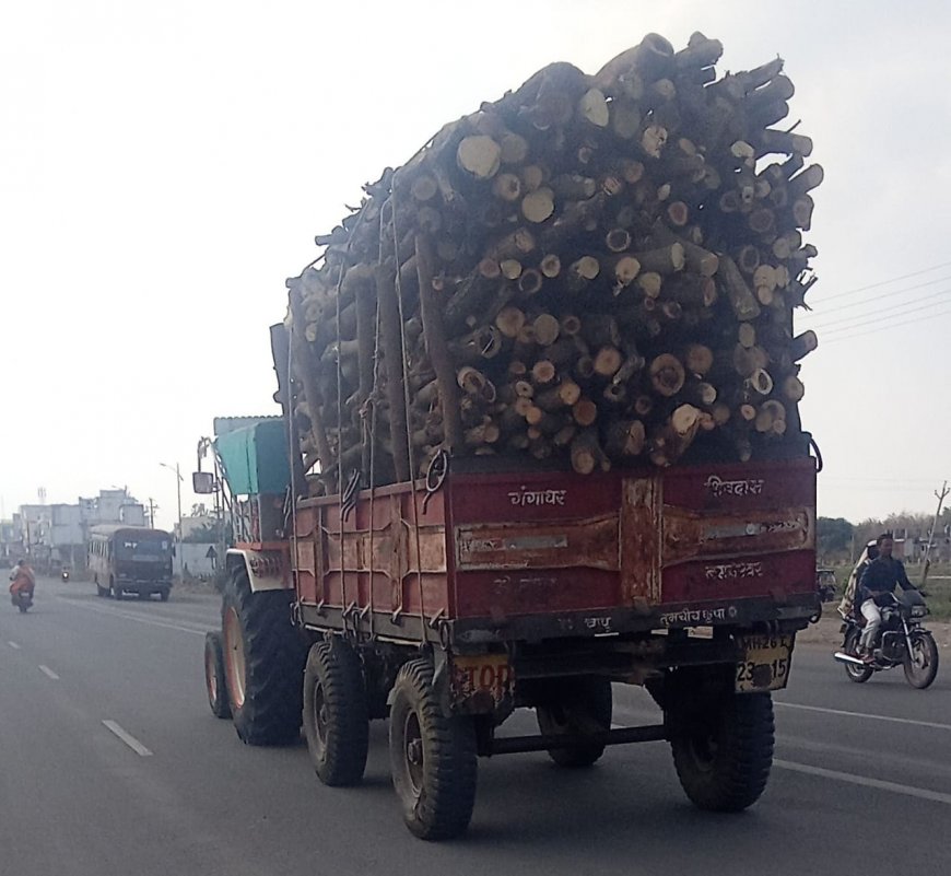 वनपरिक्षेत्र अधिकाऱ्यांच्या आशीर्वादाने हदगाव तालुक्यात दिवसा ढवळ्या अवैध वृक्षतोड करुन वाहतुक
