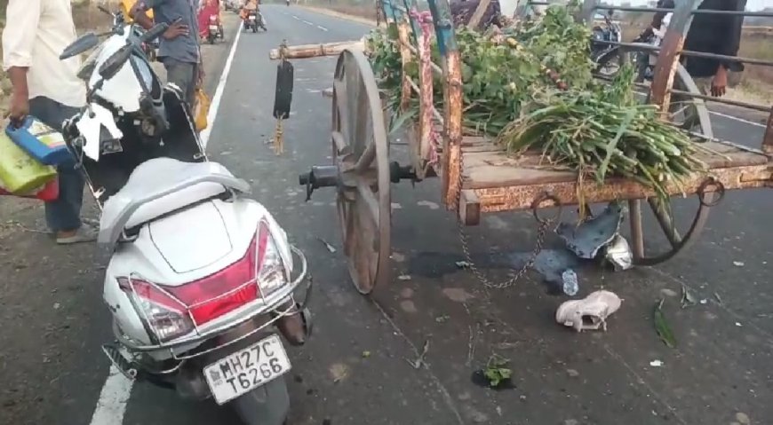 दुचाकी बैलबंडीच्या मागच्या बाजूस घुसून युवक गंभीर रित्या जखमी