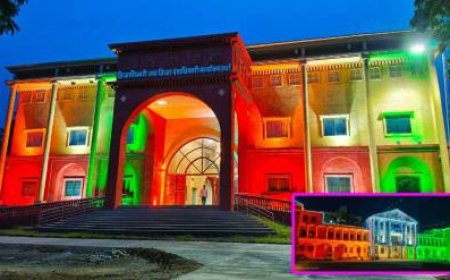 वर्धा जिल्हाधिकारी कार्यालय तिरंगी रंगात ; मनमोहक रोषणाई ने वेधले वर्धेकरांचे लक्ष !!