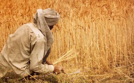 बळीराजासाठी नव्या घोषणा, उत्पादकांच्याही उंचावल्या आशा!!