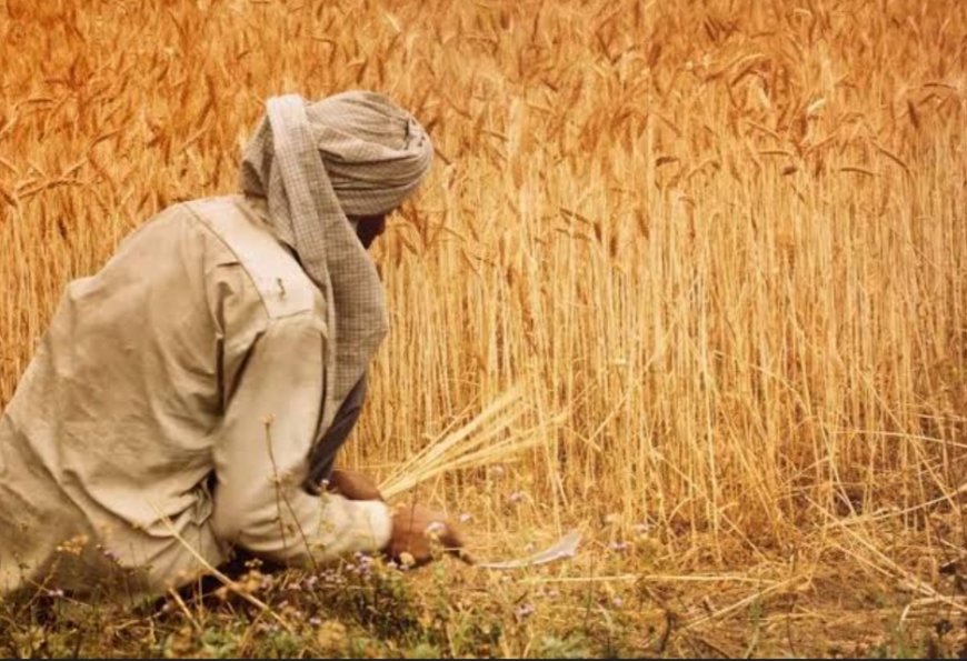 बळीराजासाठी नव्या घोषणा, उत्पादकांच्याही उंचावल्या आशा!!