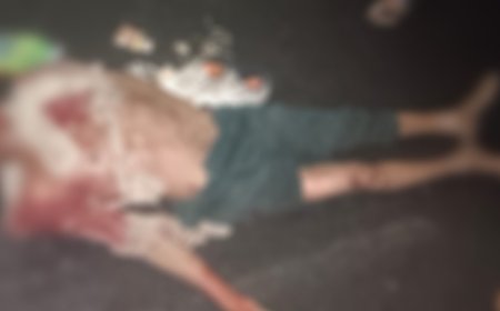 अज्ञात वाहनाच्या धडकेत युवकाचा मृत्यू !!