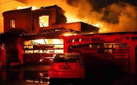 अमेरिकेतील लॉस एंजिलिसमध्ये भीषण अग्नितांडव ....महाप्रचंड नुकसान !!