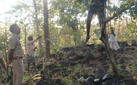 पाटापांगरा जंगलात अर्धवट जळालेल्या अवस्थेत मृतदेह आढळला !!