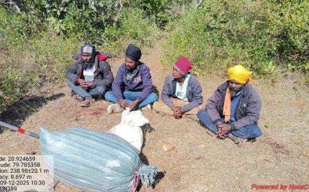 बारूदगोळा व रानडुकराच्या मांसासह चार शिकाऱ्यांना अटक  किटाडी येथील घटना !!