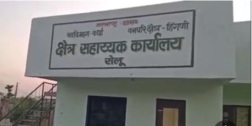 सेलूमध्ये बिबट्याची कातडी जप्त; महिले सहित तीन जणांना अटक!!