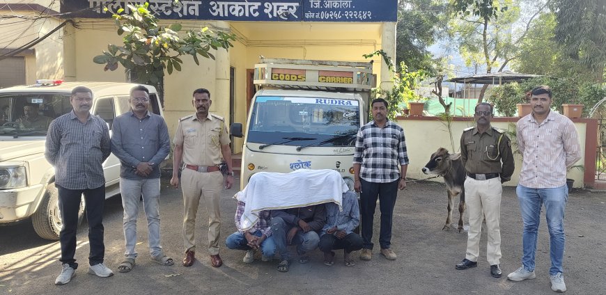 गोवंश चोरी करणारे आरोपी जेरबंद!!